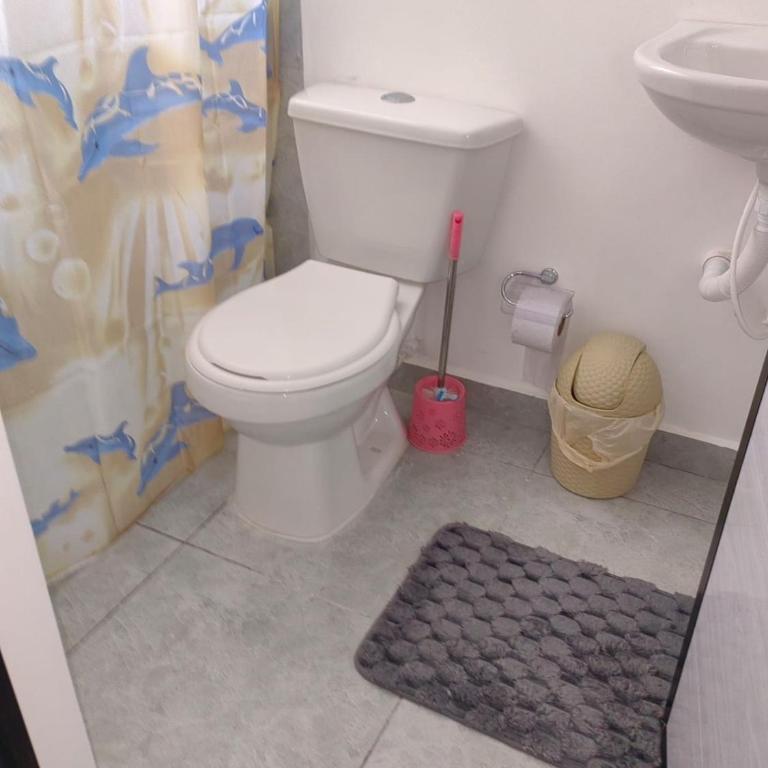 Reina isabel - Apartamento de 1 dormitorio - 6