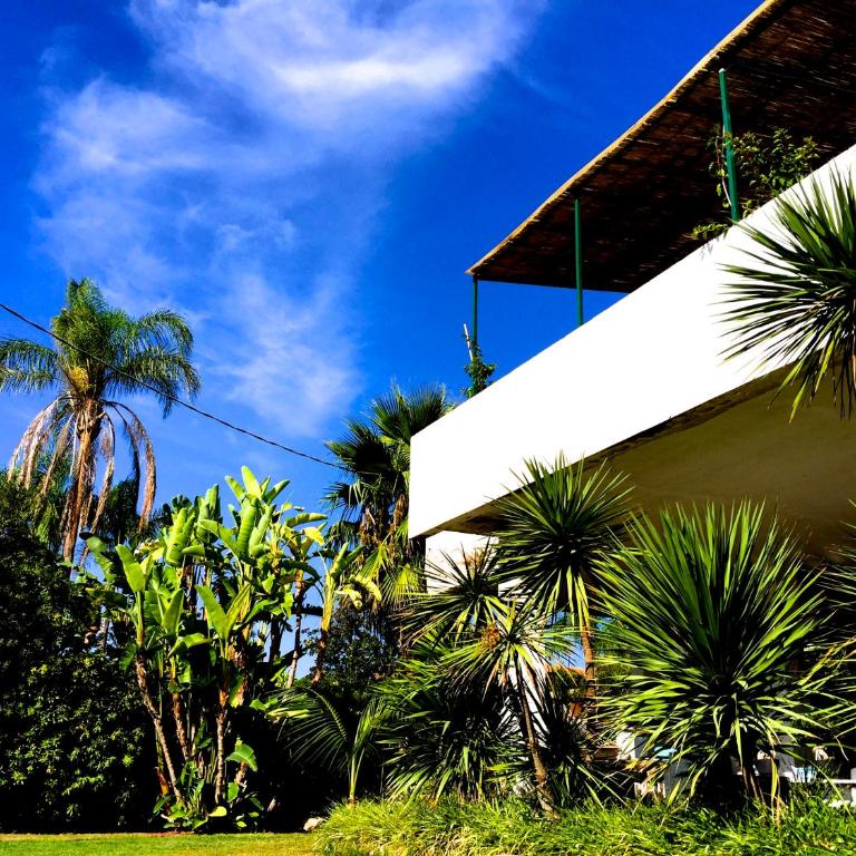 Villa Silvia 30mt from the Beach sea view - Ferienhaus - 45