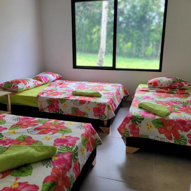 Casa Turística El Amparo - Four-Bedroom House - 2