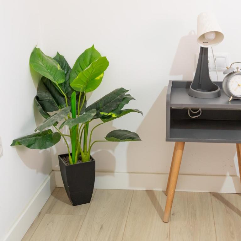Pizarro Apartments ! - One-Bedroom Apartment - 21