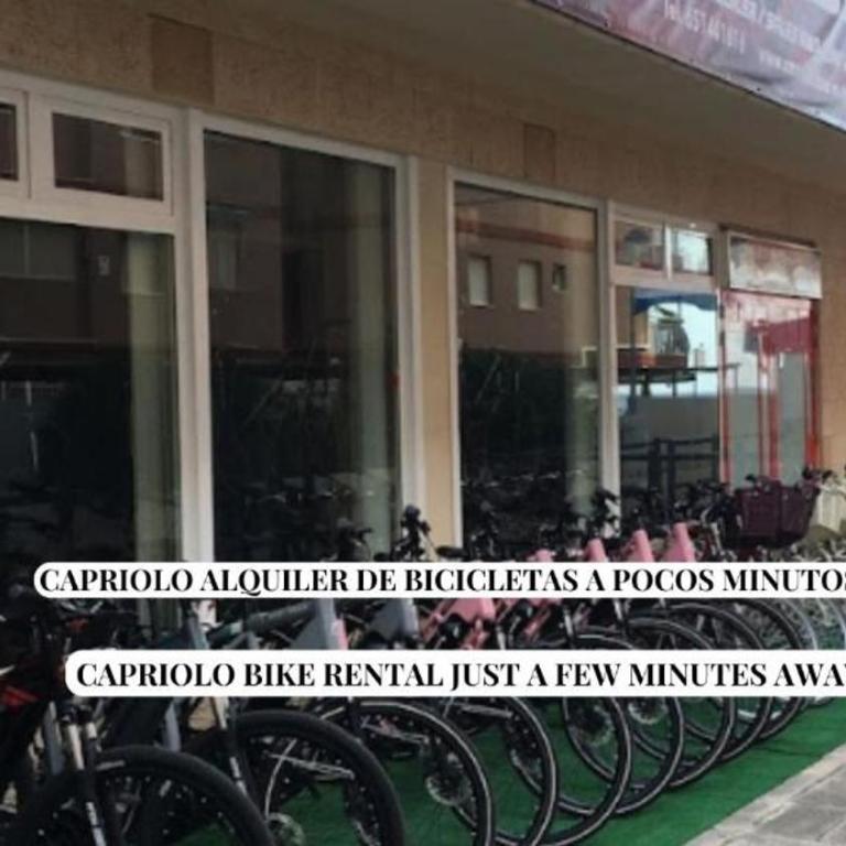 Apartalux Narcea - Apartamento de 2 dormitorios - 46