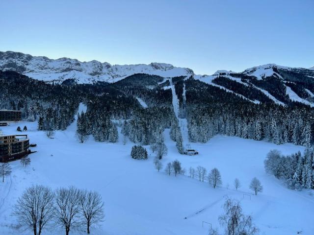 Chaleureux studio pied des pistes Les Glovettes VILLARD DE LANS - Studio - 12