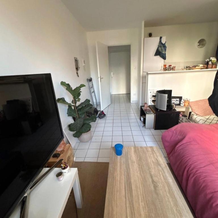 Appart lumineux Croix Rousse - Apartment mit 1 Schlafzimmer - 5