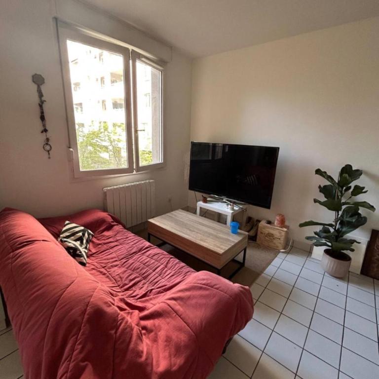 Appart lumineux Croix Rousse - Apartment mit 1 Schlafzimmer - 6
