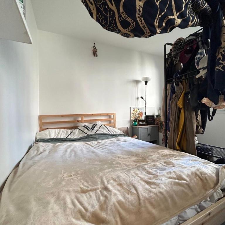 Appart lumineux Croix Rousse - Apartment mit 1 Schlafzimmer - 12
