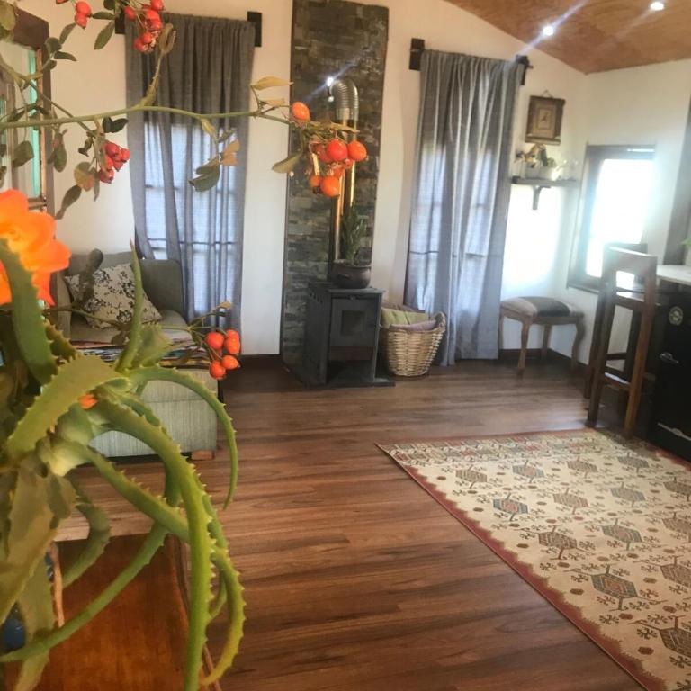 Cabina & Tinaja con vista al Rio Maipo - One-Bedroom Apartment - 31
