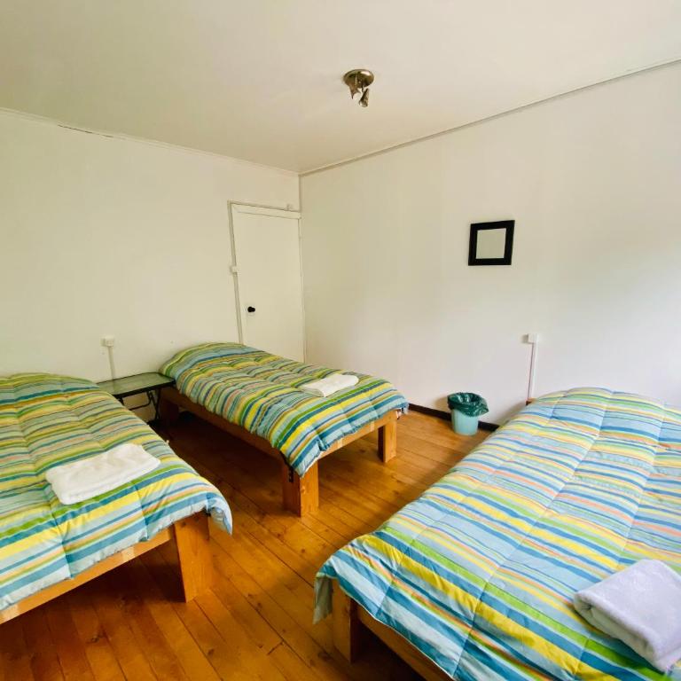 La Guapa Hostel - Female Dormitory Room - 1