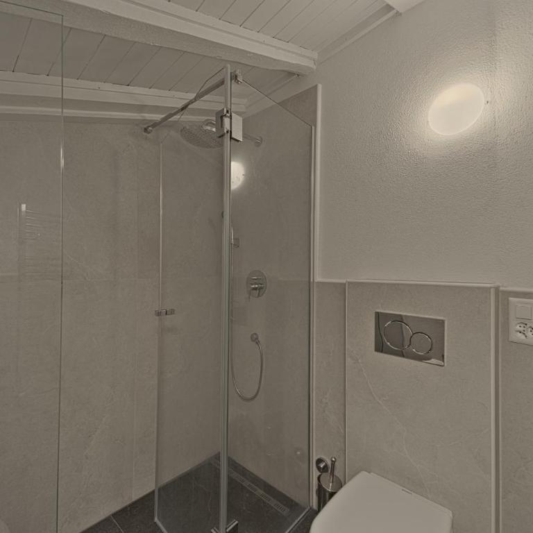 Chesa Prasura - Celerina - Apartment - 10
