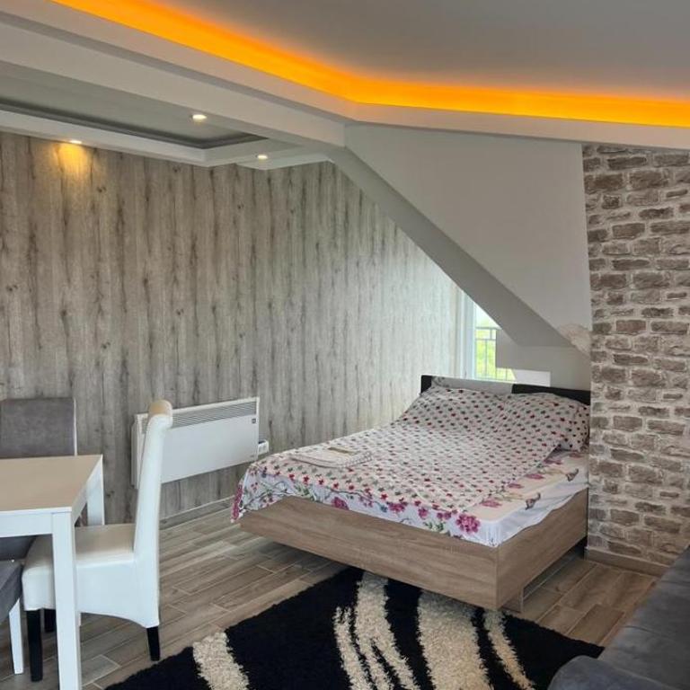 Kopaonik Najpovoljniji Apartmani - Studio - 5