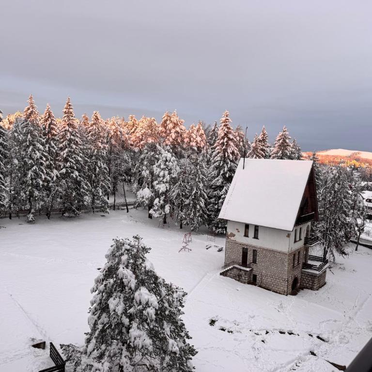 Woodland Strawberry - Titova Vila Zlatibor - One-Bedroom Apartment - 22