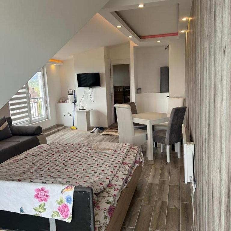 Kopaonik Najpovoljniji Apartmani - Studio - 1