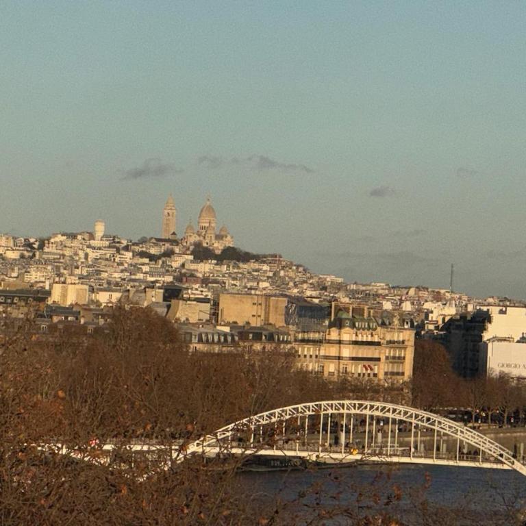 View on Eiffel Tower Seine and Main Monuments - Appartement - 4
