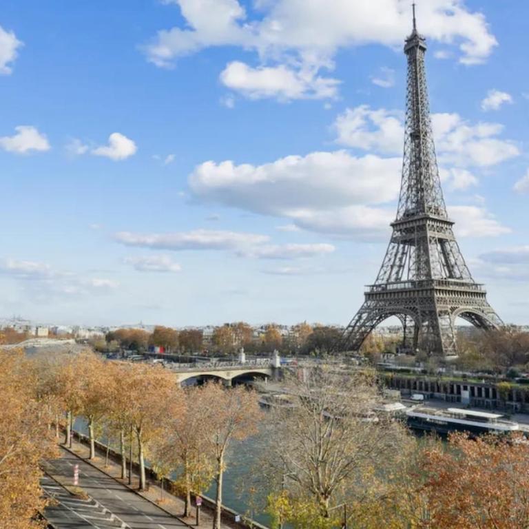 View on Eiffel Tower Seine and Main Monuments - Appartement - 11
