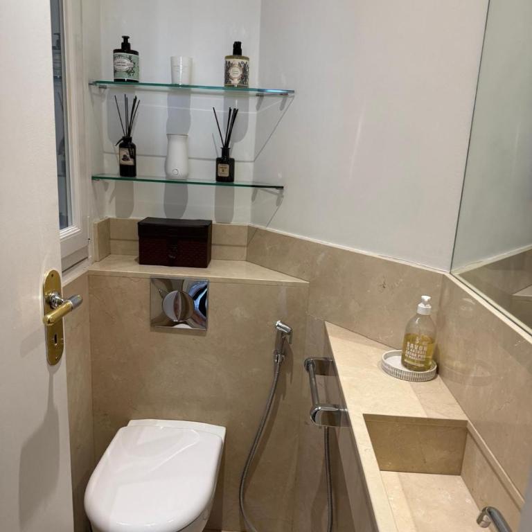 View on Eiffel Tower Seine and Main Monuments - Appartement - 15