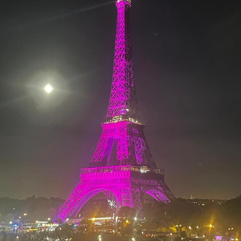 View on Eiffel Tower Seine and Main Monuments - Appartement - 21