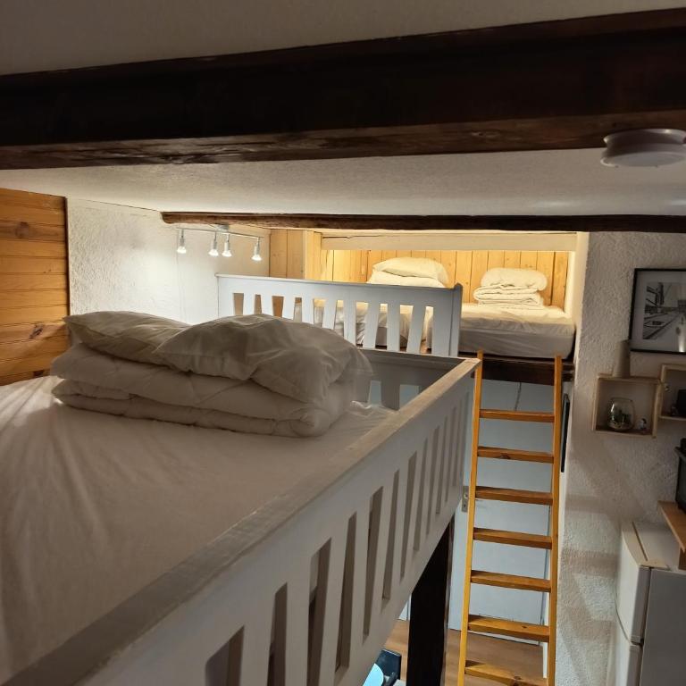 Le Nid Des Marmottes, hyper centre, draps et serviettes fournies - Appartamento con 1 Camera da Letto - 15