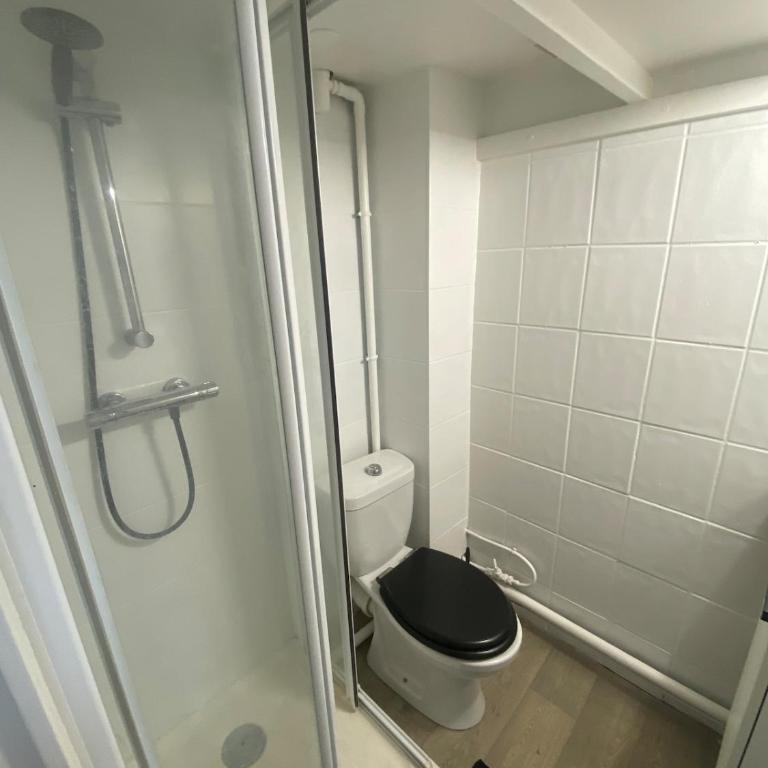 Studio Mabilay - Rennes Centre ville - Appartement 1 Chambre - 6