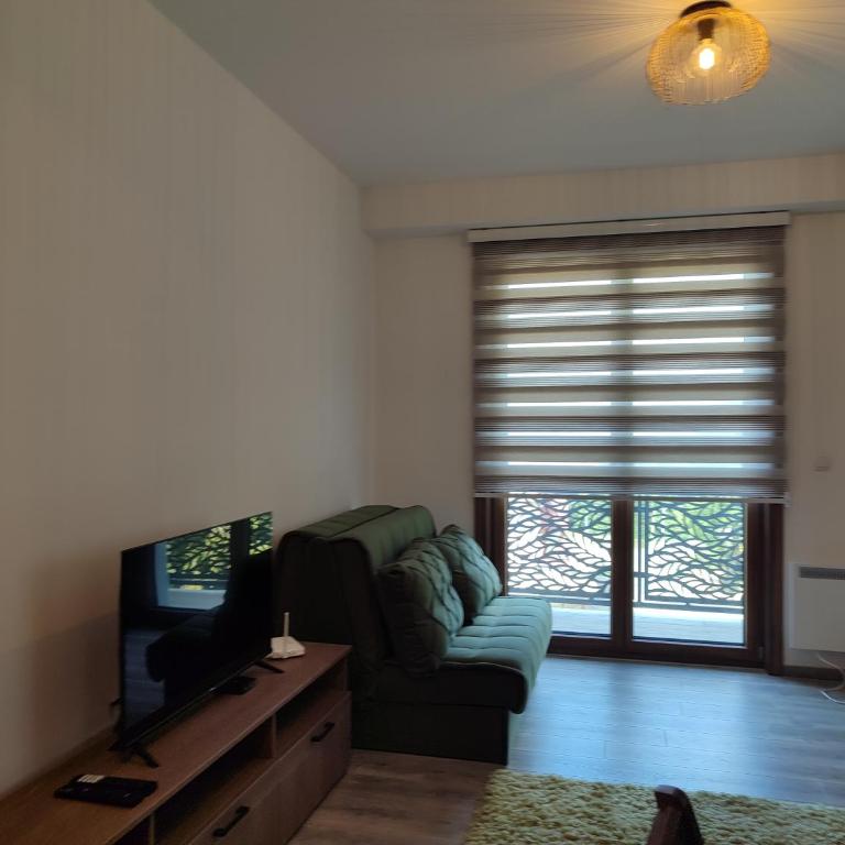 Ski Apartmani Elena - One-Bedroom Apartment - 8