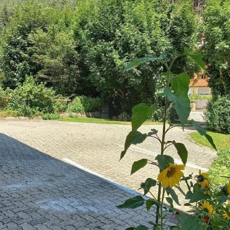 Apartments Steger - Two-Bedroom Apartment with Mountain View - 12