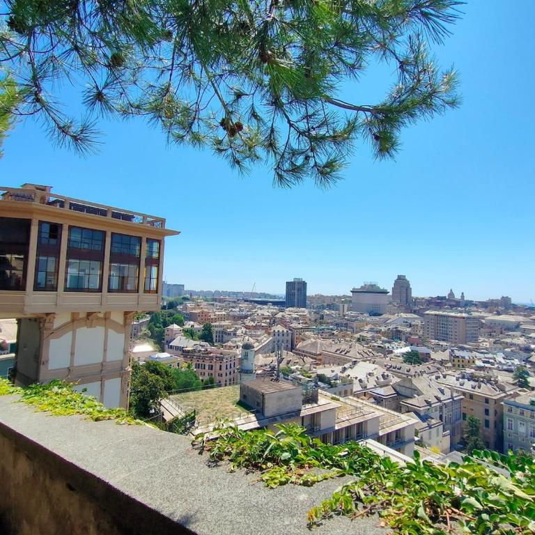 Belvedere da Spianata - Appartamento con 2 Camere da Letto - 1