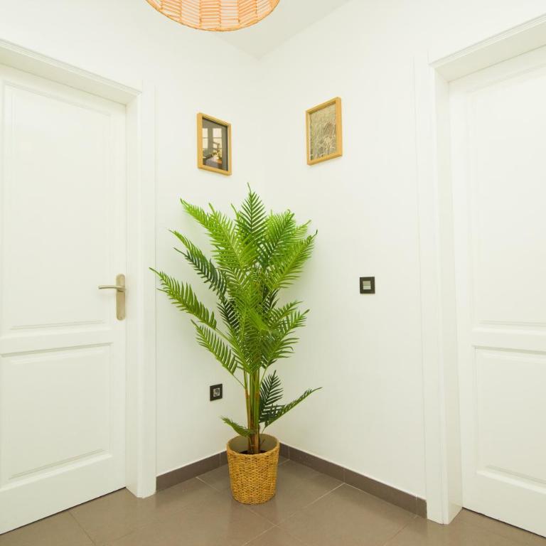 Casa Victoria - By AZ Rentals - Three-Bedroom Villa - 21