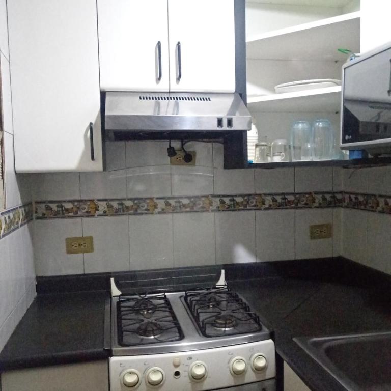 Comfortable Independent Apartment Downtown Ccs - One-Bedroom Apartment - 10