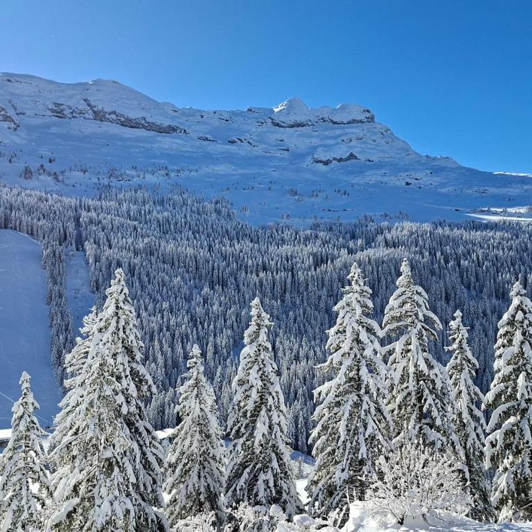 Studio rénové avec balcon proche des pistes, casier à ski - Studio - 9