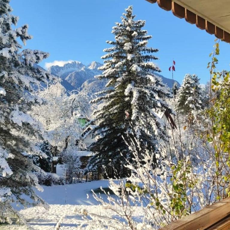 Alpenblick Apartment - Apartment mit 1 Schlafzimmer - 22