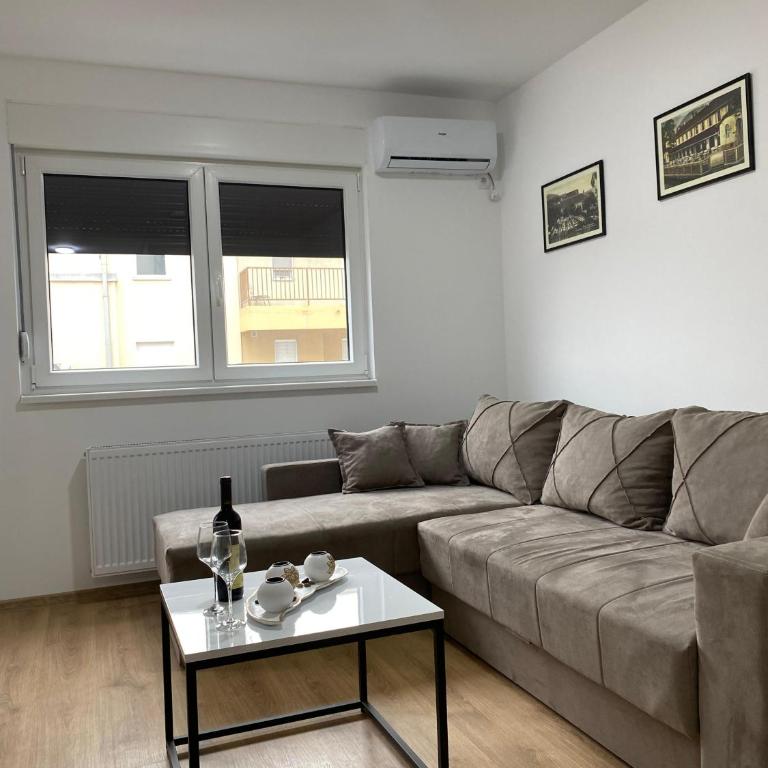 Vasiljević Apartman Koviljača - Apartman sa 1 Spavaćom Sobom - 3