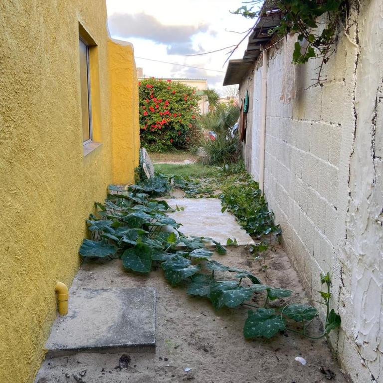 Casita céntrica con salida al mar - Casa de 2 dormitorios - 8
