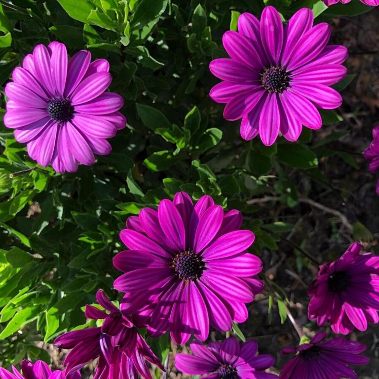 Desconéctate! Casa de campo con vista sensacional !!! - Villa de 3 dormitorios - 22