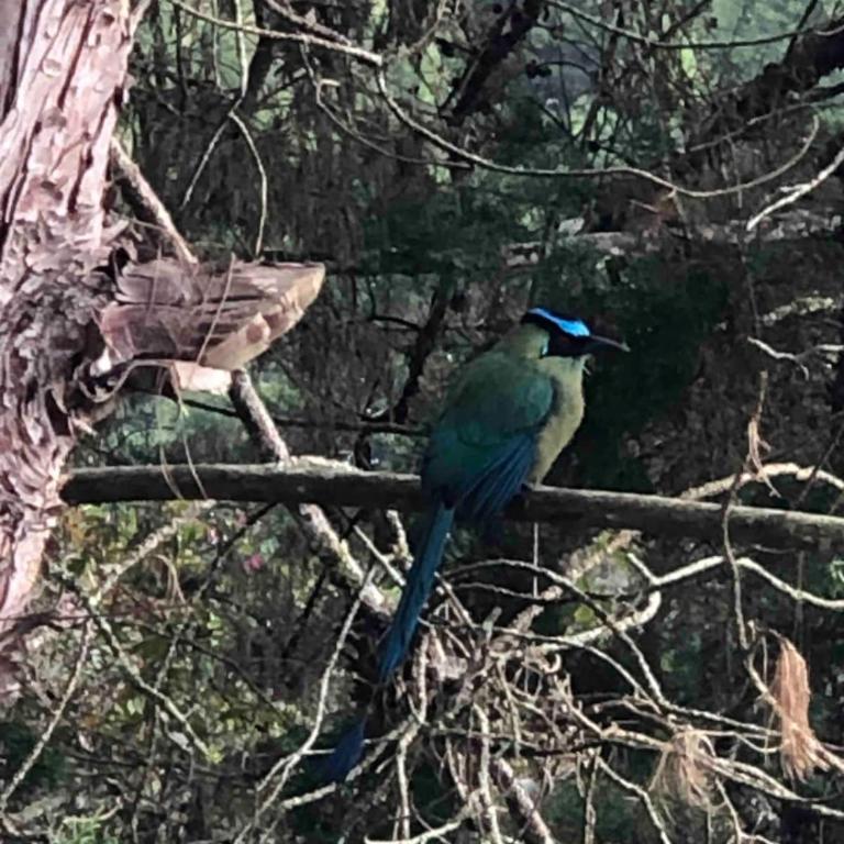Desconéctate! Casa de campo con vista sensacional !!! - Villa de 3 dormitorios - 21