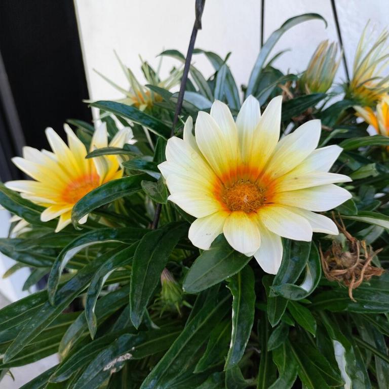 Desconéctate! Casa de campo con vista sensacional !!! - Villa de 3 dormitorios - 18