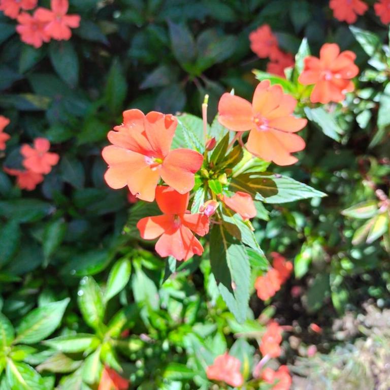 Desconéctate! Casa de campo con vista sensacional !!! - Villa de 3 dormitorios - 17