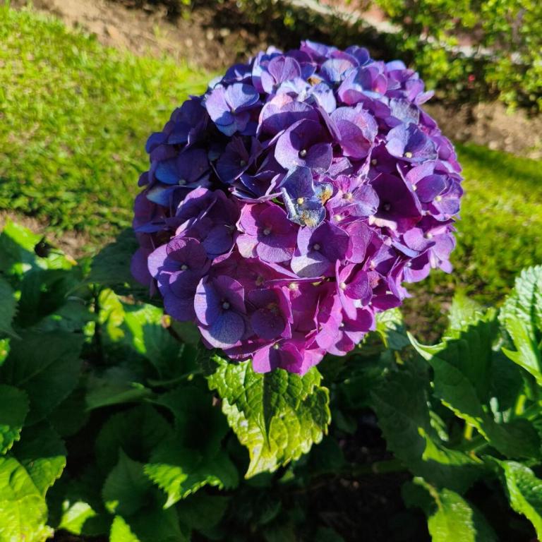 Desconéctate! Casa de campo con vista sensacional !!! - Villa de 3 dormitorios - 16