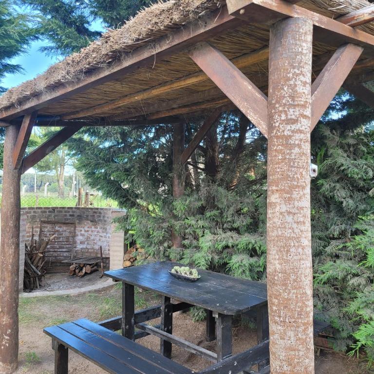 Finca131 - One-Bedroom House - 7