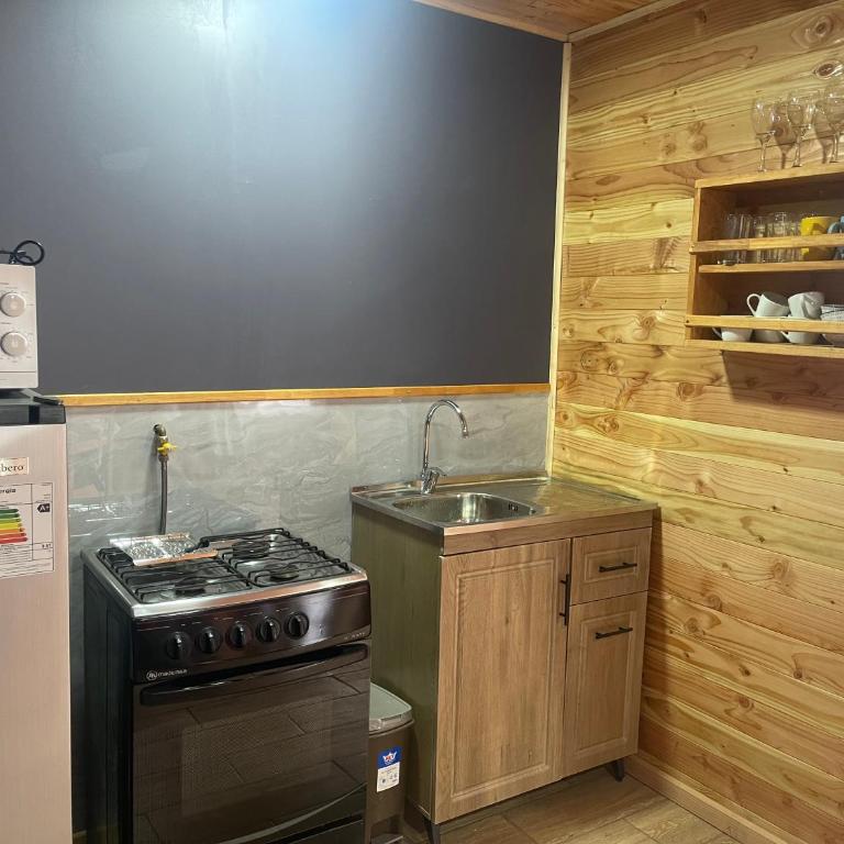 Cabaña centro - Three-Bedroom House - 1