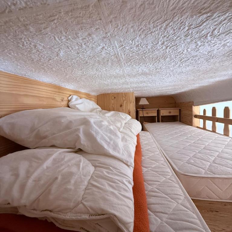 La Serena cozy studio in Saint Veran - Appartement 2 Chambres - 5