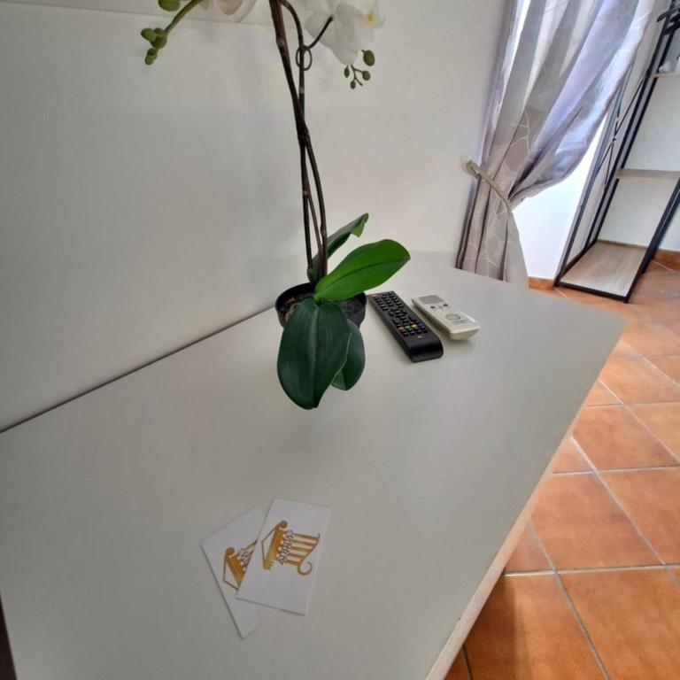 Athena's Apartment - Appartement 2 Chambres - 25