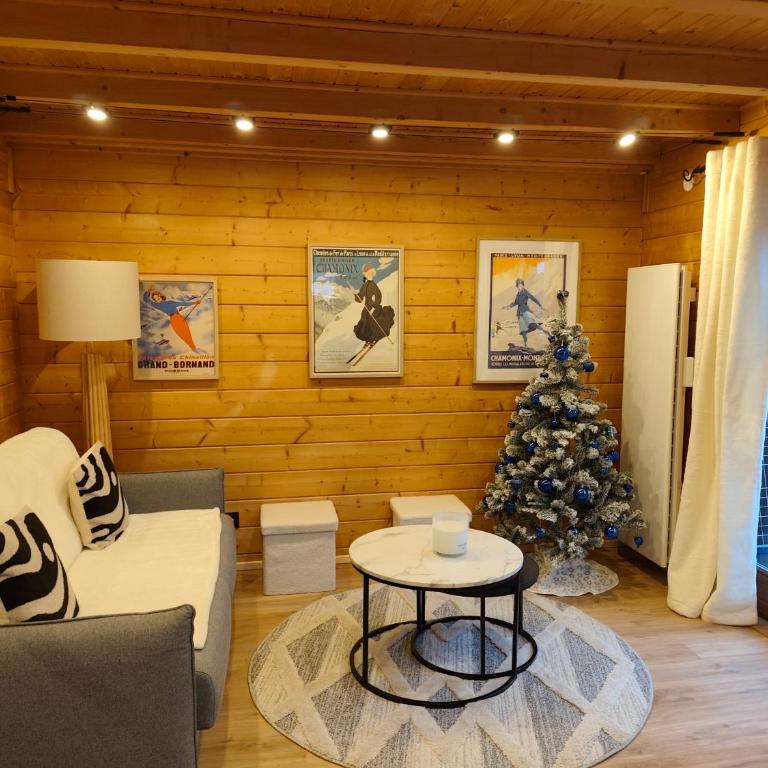 Châlet CARIBOU 74 avec Piscine Chauffée - Chalet 2 Chambres - 9