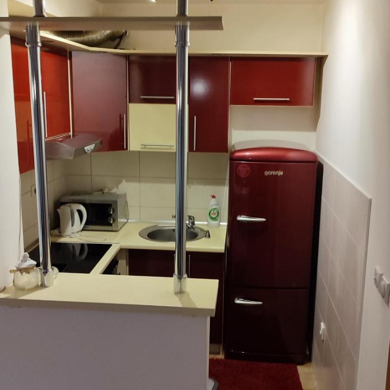 EM Apartman Pale Jahorina - One-Bedroom Apartment - 9