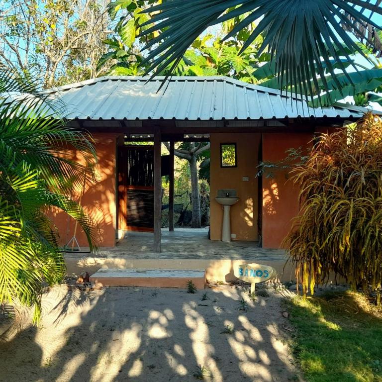 Pomelo Hostal - Cama Individual en dormitorio compartido de 6 camas - 4