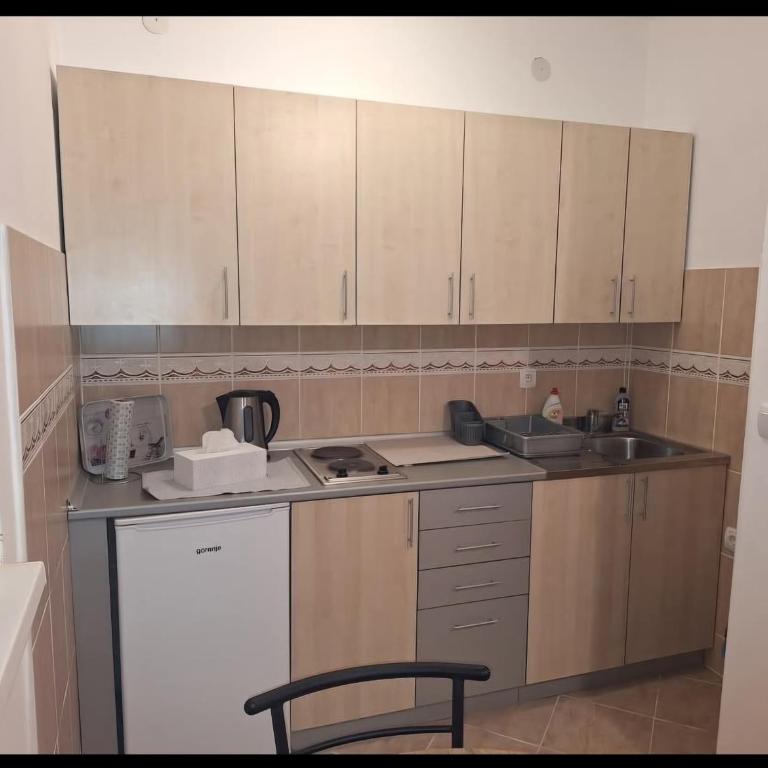 Apartman Štekić - Apartman sa 1 Spavaćom Sobom - 11
