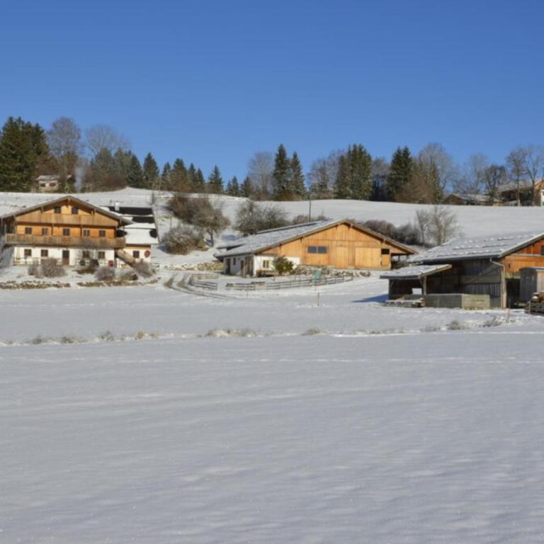 Langegger Alm - Sennerstube - Apartment - 29