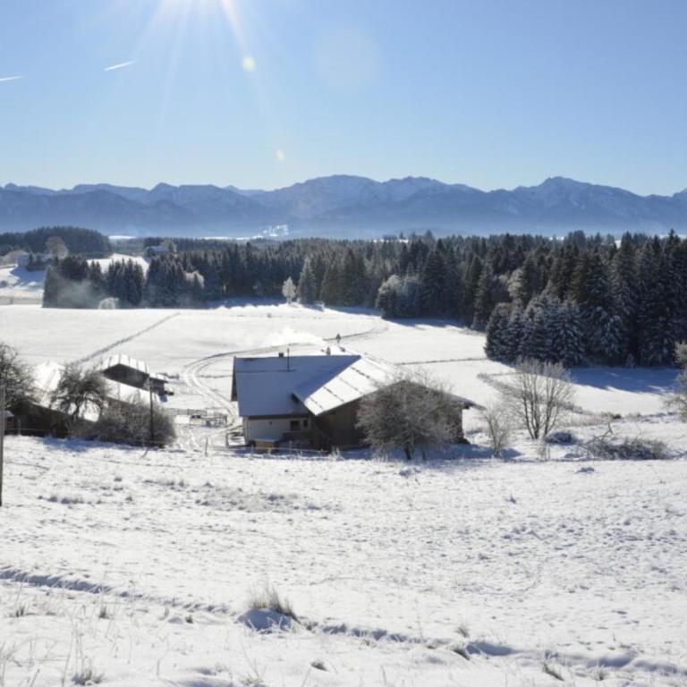 Langegger Alm - Sennerstube - Apartment - 31