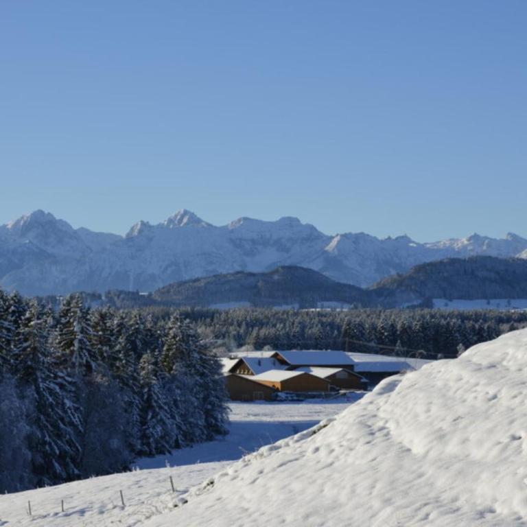 Langegger Alm - Sennerstube - Apartment - 32