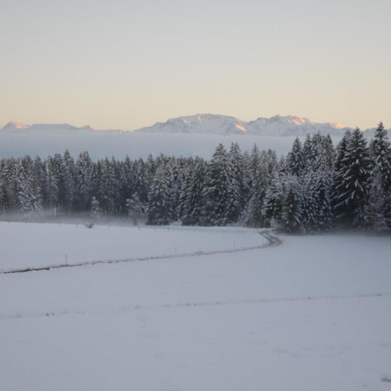 Langegger Alm - Sennerstube - Apartment - 34