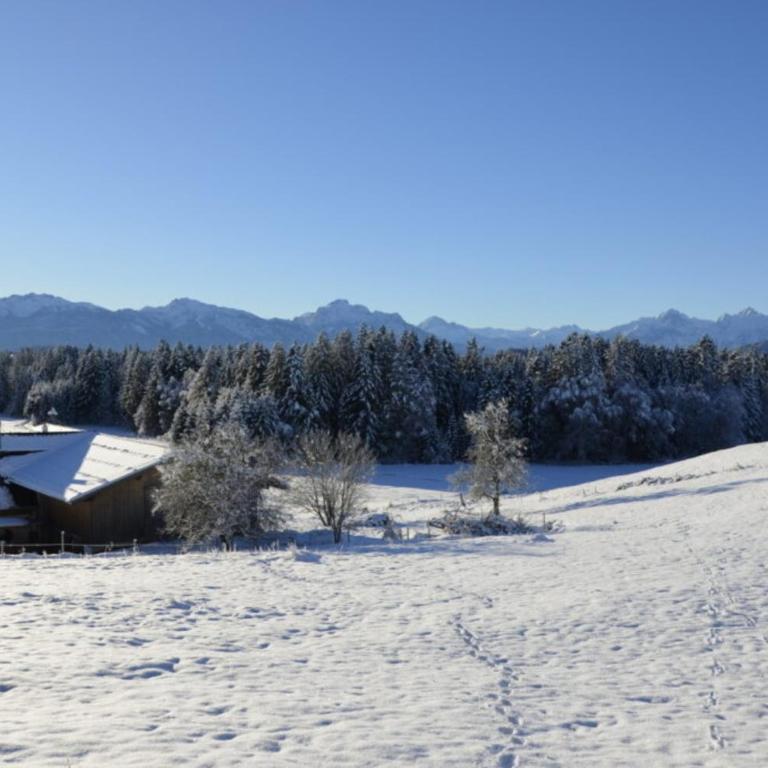 Langegger Alm - Sennerstube - Apartment - 36