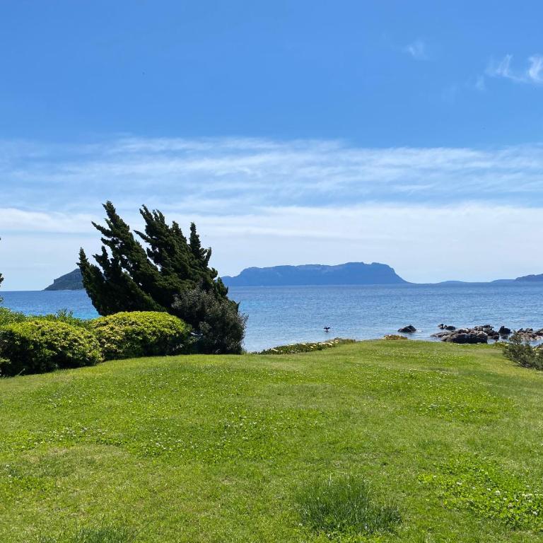 ISA - Luxury apartment Elicriso sea view with common swimming pool just 100 mt from the beach - Appartamento con 1 Camera da Letto - 3