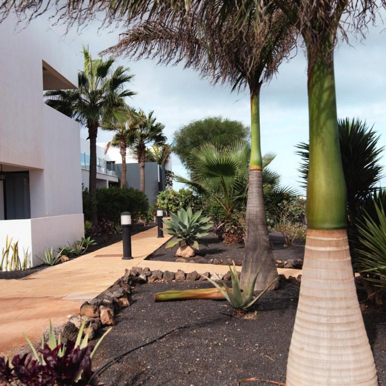 Serenidad del Sol Fuerteventura - Apartamento de 2 dormitorios - 47